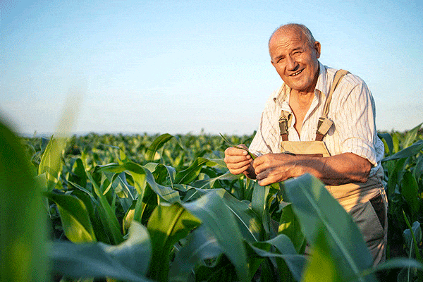 Plantaciones agrícolas en Perú, Colombia y Chile.