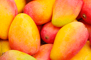 Importación de mango a España.